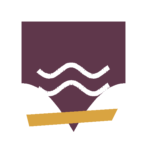 Flood Repair Chico logo